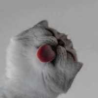lua-minor