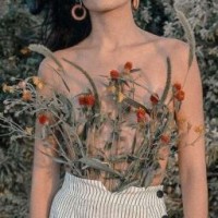 aestxflower
