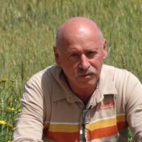 yvarsh