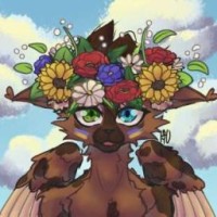 dragonwing26
