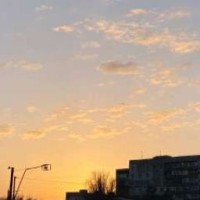 1mmelanyy