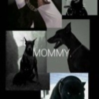mommy-rebel