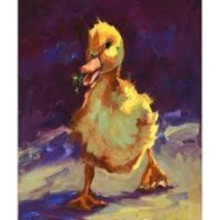 duck009t