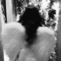 mary-co666