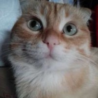 user33811477