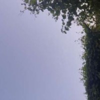4nastasia0