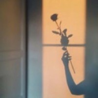 83desertrose73