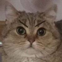 user54618107