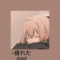 404plush-toy404