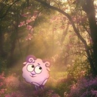 dar-dan3