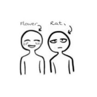 ratandgerberaflower