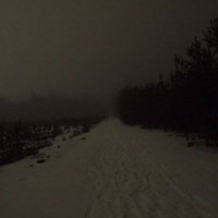 angelllllina-www