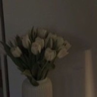 user61108197