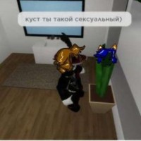 xzlol90086