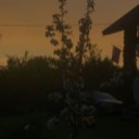 setkovaelina