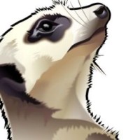 themeerkats