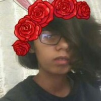 user53130882