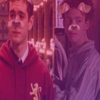 cherry-reeeed