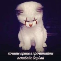 anastasiallxx
