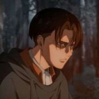 user49532505