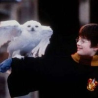 luna-malfoy-43