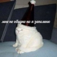 blyednayagordost