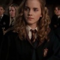 vikogranger6