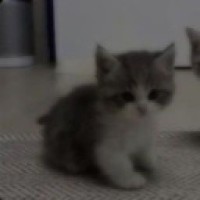 user41071331