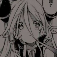 user91220748