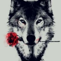 lindywolf