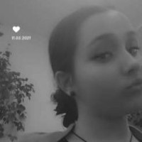user65726519