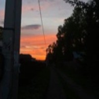 8-suicide-8