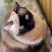 user31381190