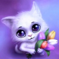 night-cat8