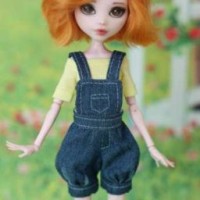 lidacrazydoll