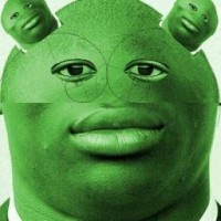 hegdehogxyu