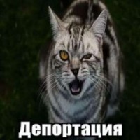 wwwwgeniy