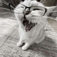 lerkinssz