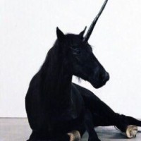 swopi-03