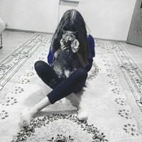 nastya856