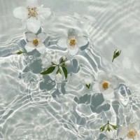 creamyammitsu