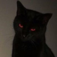 catlboro
