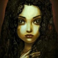 user81073782