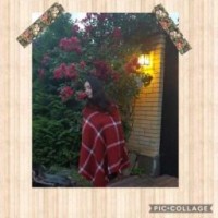 nelly1234321
