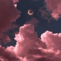 rin-ni-night
