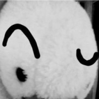 barenie56