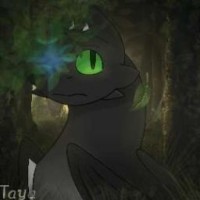 taya-fury