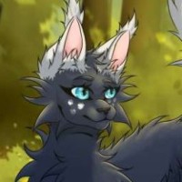 moontail-official